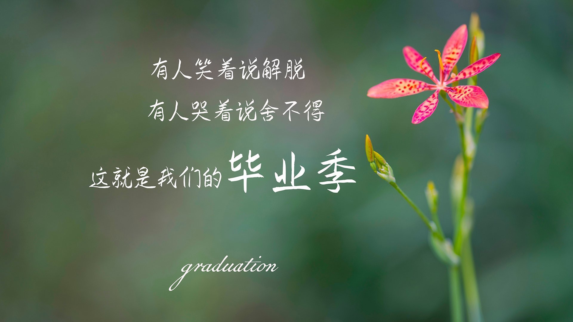 NBA官方宣布首个“赛季最佳团队精神奖”设立,nba最佳队友奖杯