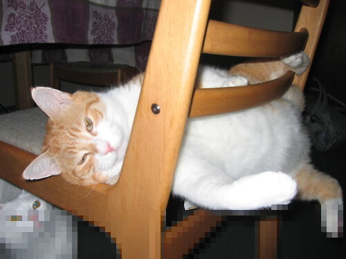 _勇士开启三分狂潮，战绩稳步攀升_，勇士三分绝杀