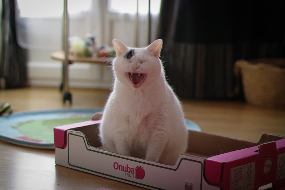 _运用大数据分析预测比赛走势_,大数据分析预测怎么做