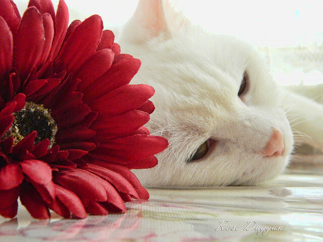 【青训加油站】年轻运动员模仿丁俊晖的攻防设计，挑战丁俊晖