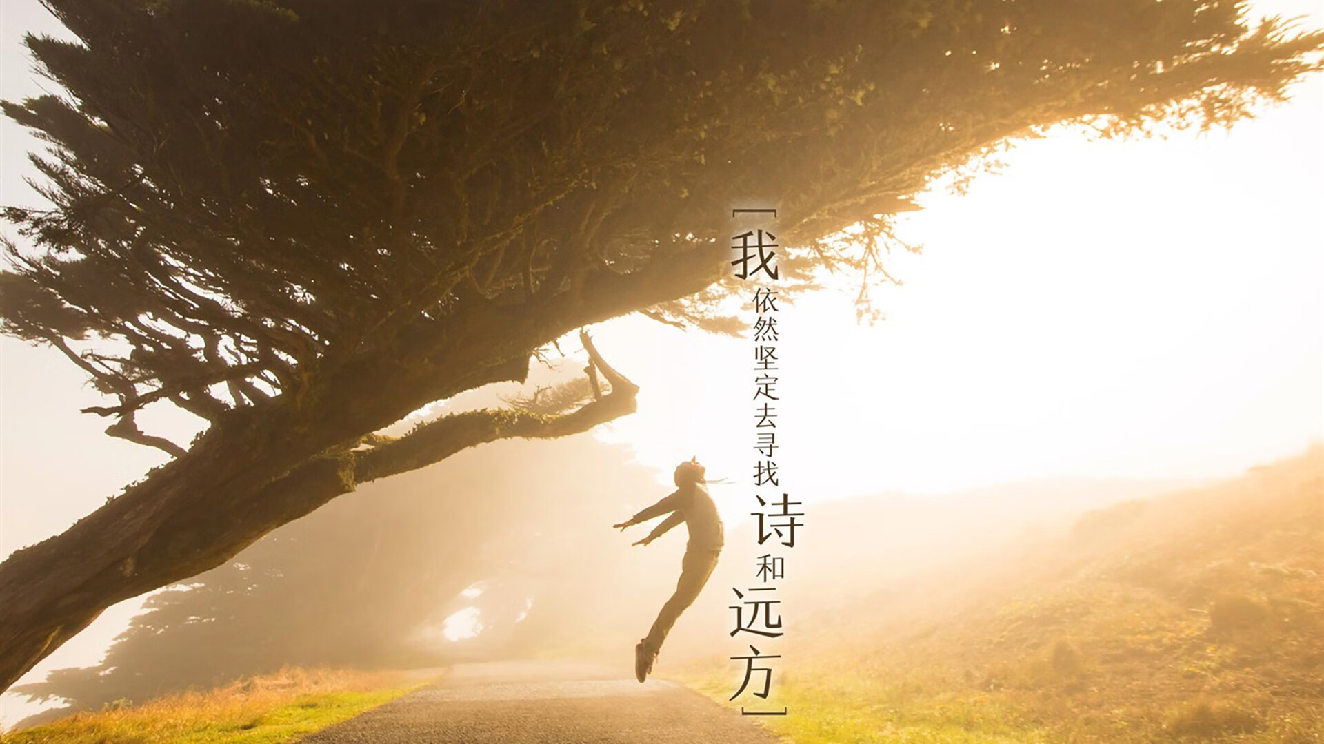 关键封盖:李磊最后一刻封阻上海队的必杀投篮!,李磊 球员