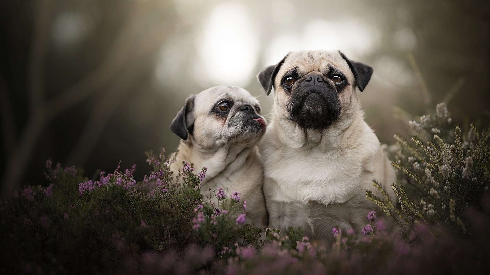 影响深远：世界各地的青少年篮球热潮正席卷全球！，青少年篮球现状