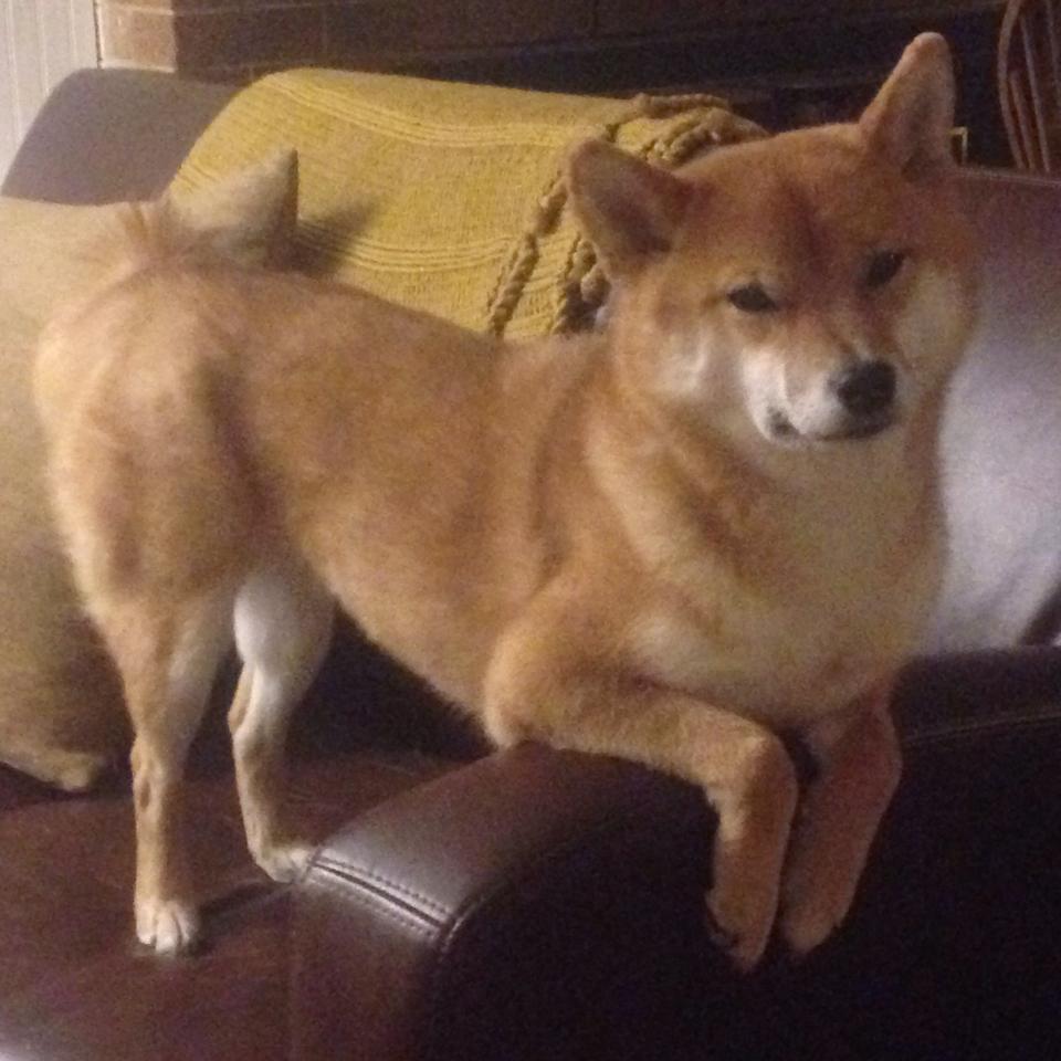 -电竞主题文创产品广受欢迎，产业融合迈上新台阶，电竞文化产品的发展前景