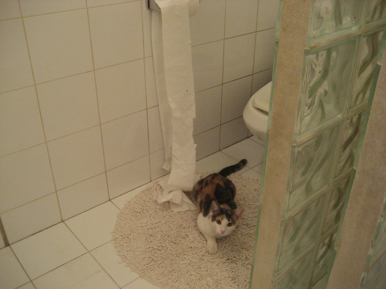 辜梓豪在“农心杯”世界象棋团体锦标赛中表现突出