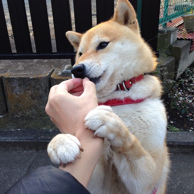 NBA总决赛东区决赛即将揭幕 巨头之争，nba总决赛是不是一直都是东部西部