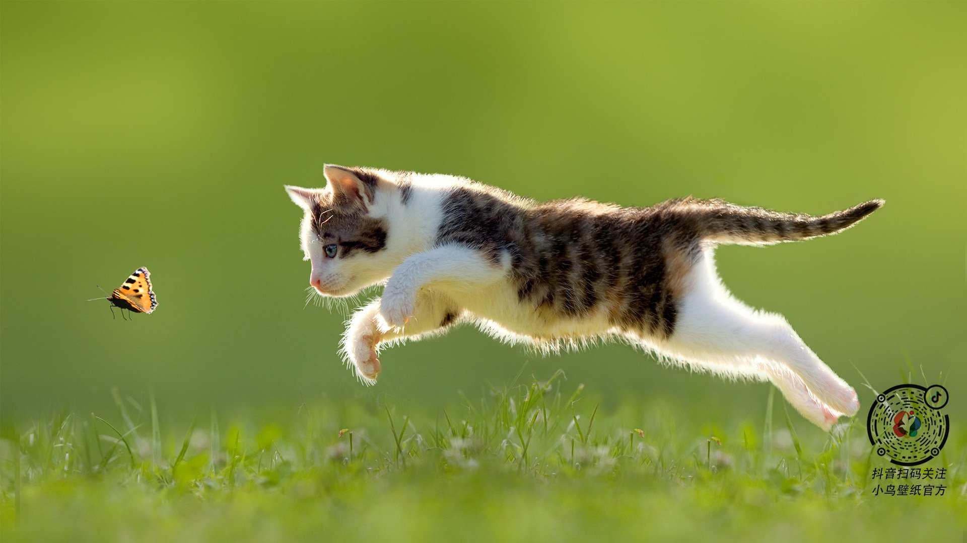 九游app官网下载-伊朗马术协会举办“Chovgan”文化交流活动，促进传统文化传承。