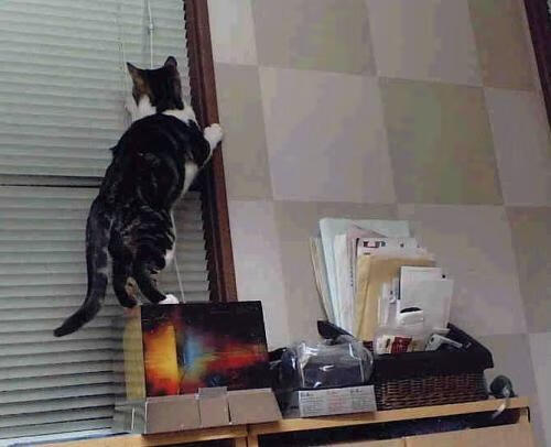 九游官网下载电脑版-加的斯是否能稳定中下游排名，加的斯旅游攻略