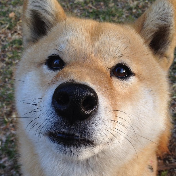 情至至深:尼克斯对骑士的比赛备受期待,骑士队尼克斯