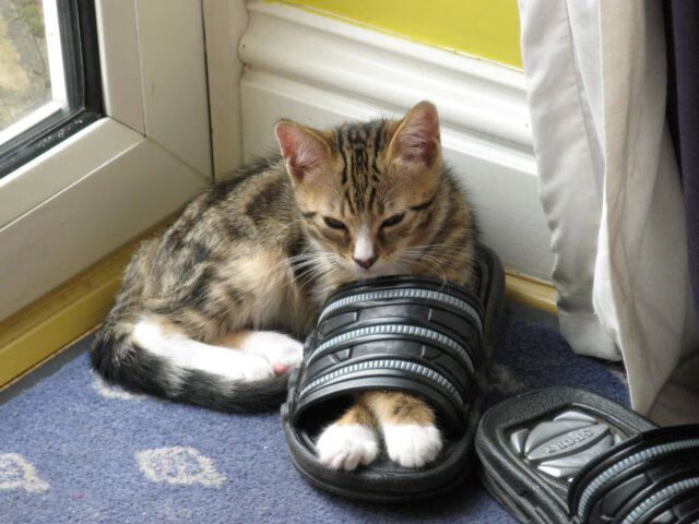 九游娱乐官网 (jiuyou)-格罗宁根客场获胜，实力得到验证，格罗宁根队