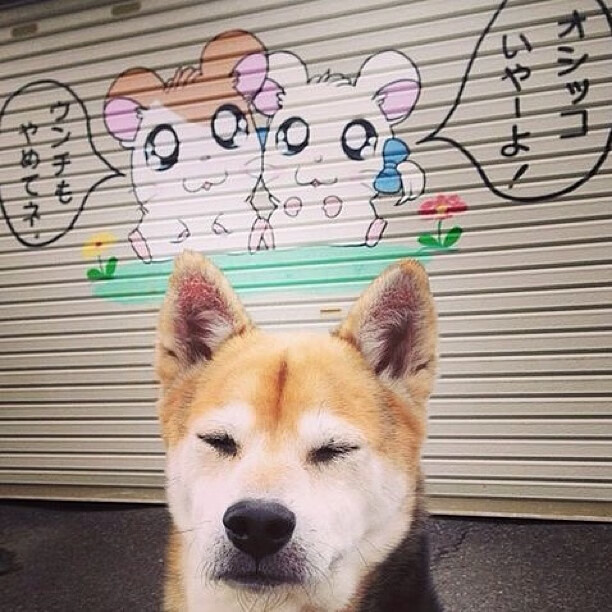 九游(jiuyou)官方网站-活塞再次爆冷逆袭成功，活塞maker