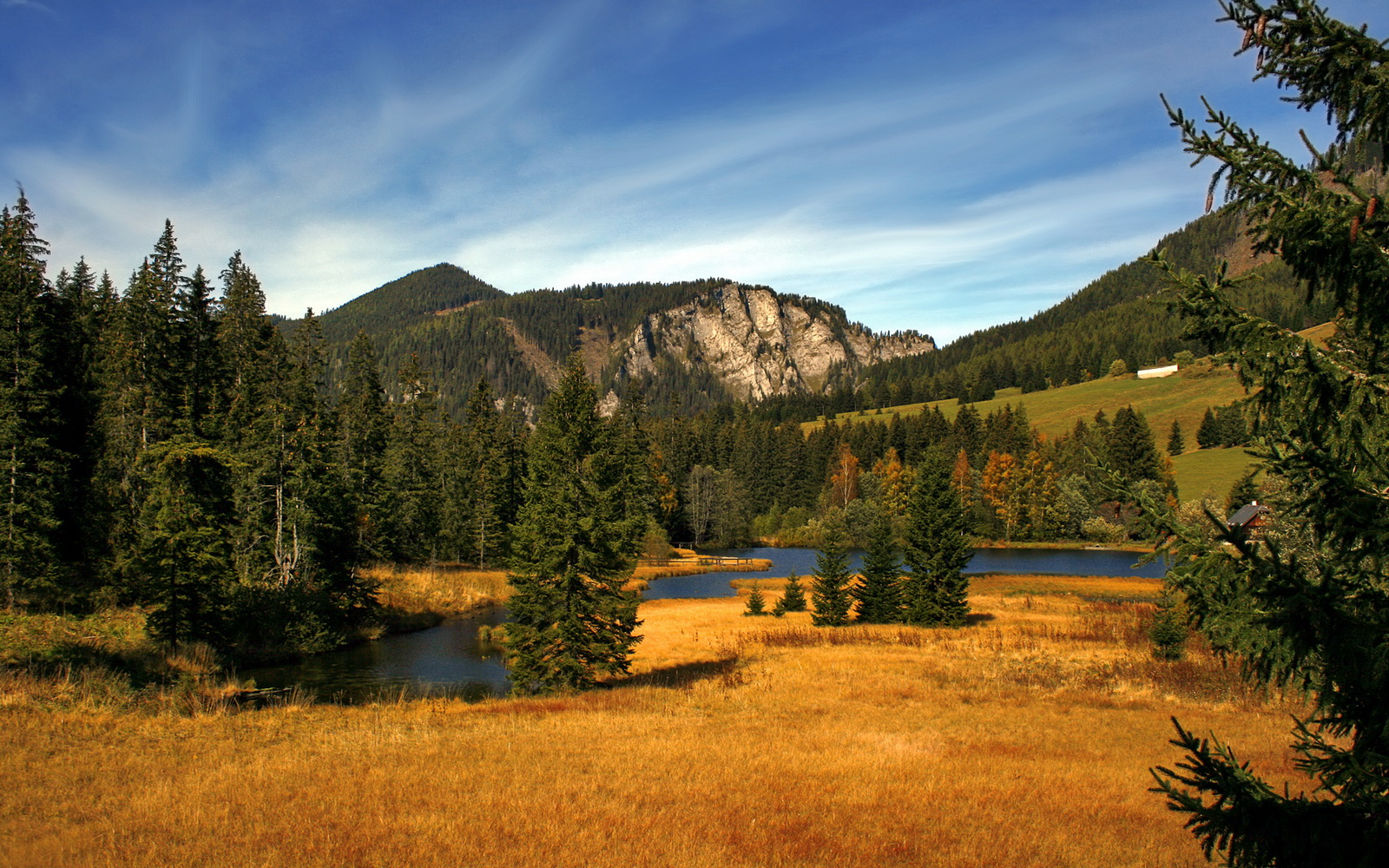 王者荣耀KPL完善裁判员执裁行为准则,王者荣耀裁判暂停到底是什么