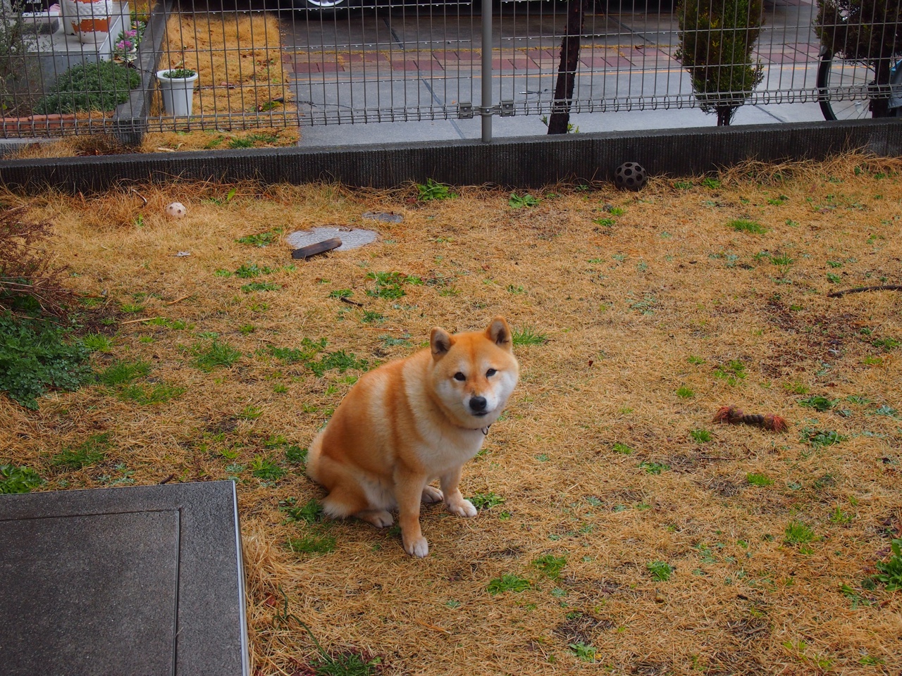 重庆斯威击败对手，升至中超积分榜第三位，中超重庆斯威vs上海申花