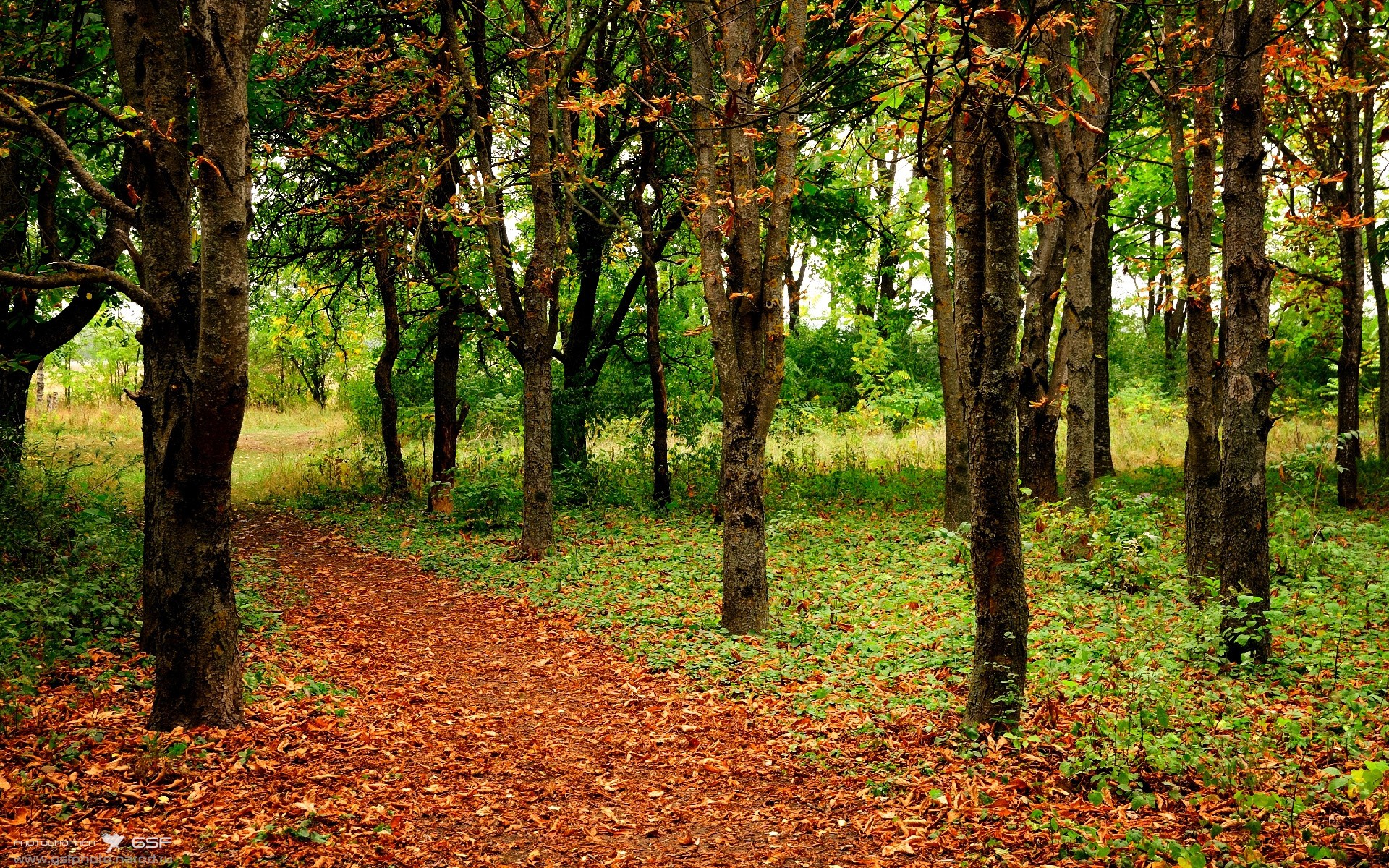 九游娱乐(jiuyou)官网-长春亚泰保持不败，战绩令人满意，长春亚泰强势夺冠