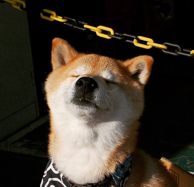 体育赛事市场开发与推广策略研究分析,体育赛事市场构成