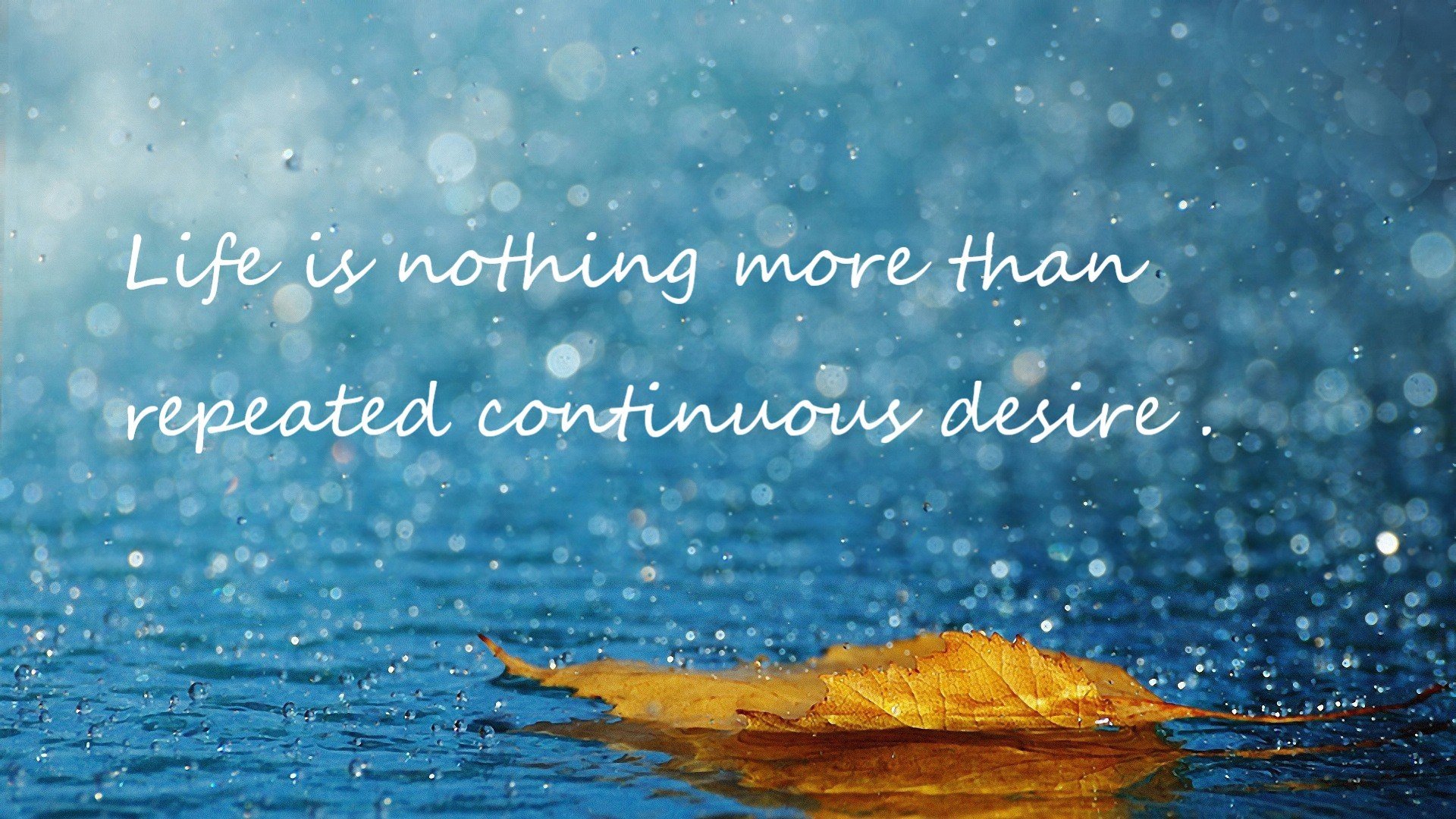 欧洲冠军:历史第一球队排行榜揭晓,欧洲冠军联赛历史冠军