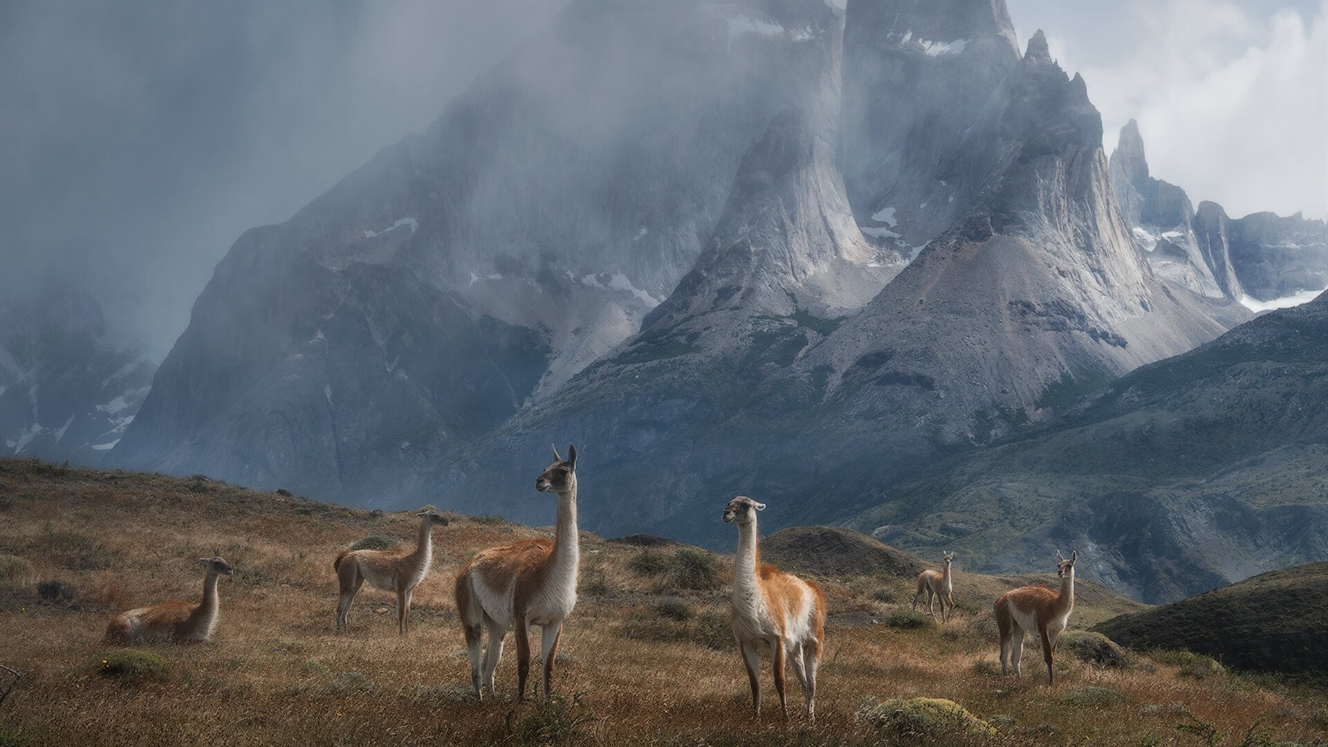 九游电脑版-高校运动训练课程中的虚拟仿真技术应用研究，运动分析虚拟仿真实验