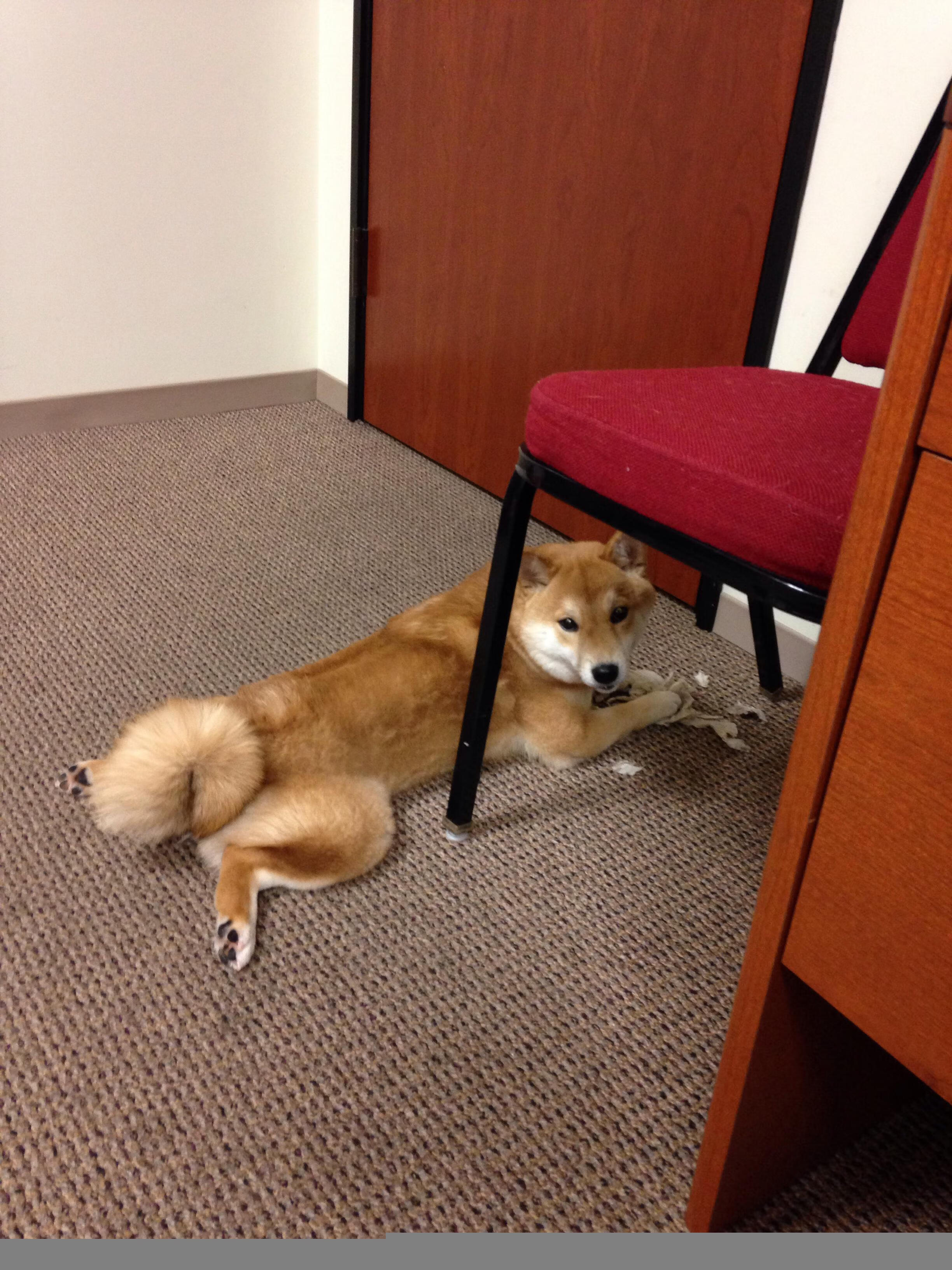 “武汉马拉松:速度与耐力的终极较量”