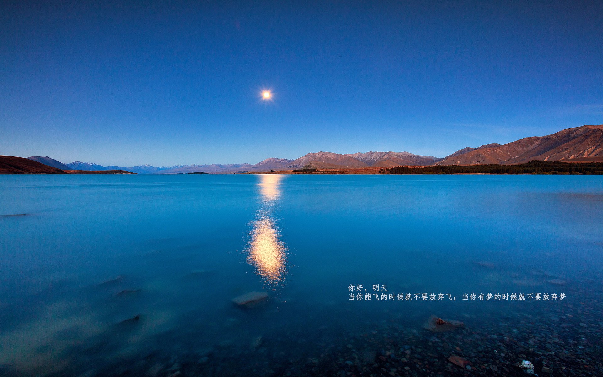 皇马连续不败展现冠军气质，皇马连续不败展现冠军气质的球员