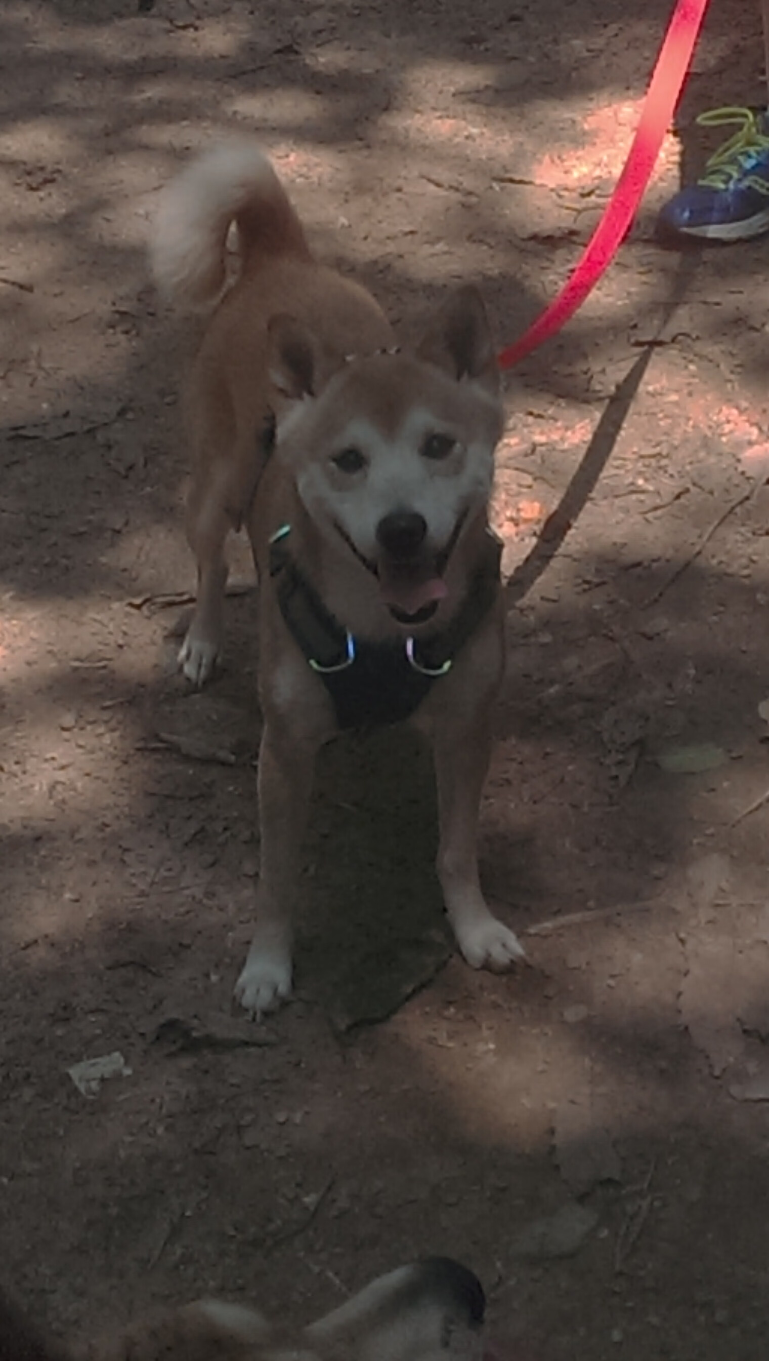 体育新闻中心联赛积分战报,体育新闻平台