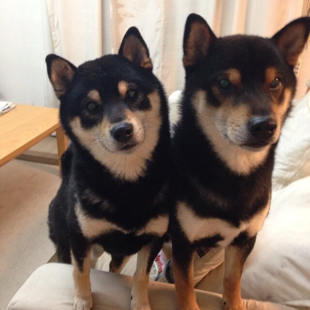 历史性胜利引发全网热议,历史性胜利引发全网热议的事件