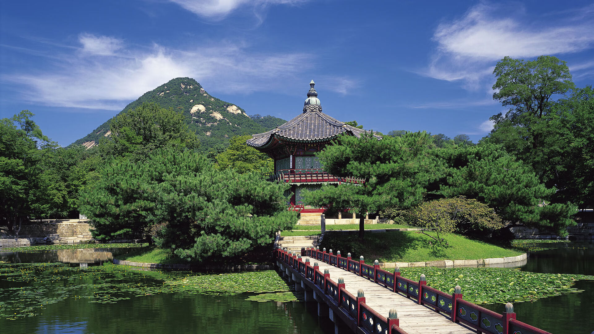 未来足球场馆实现全场智能安防,确保赛事安全顺利进行,足球场管理系统