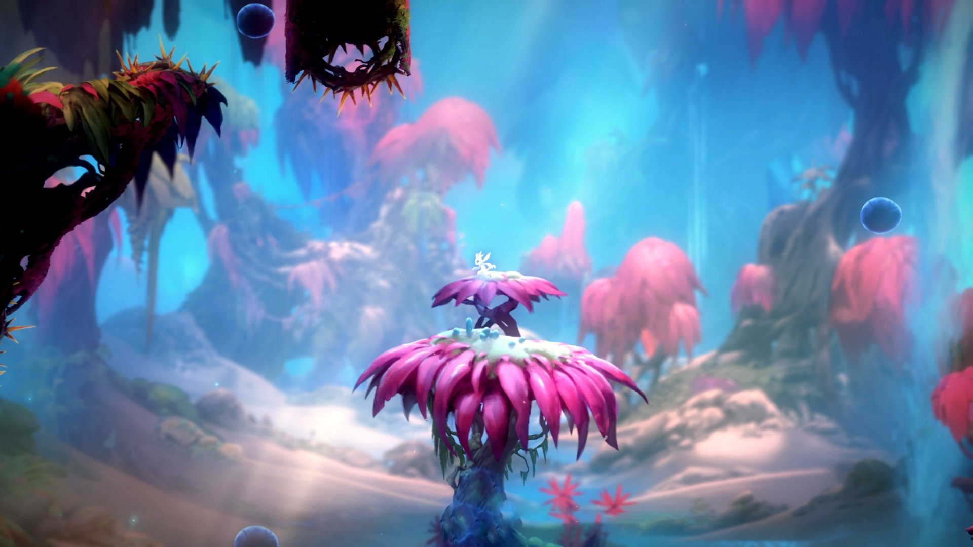 滑雪运动装备检测标准逐步完善,滑雪装备示意图