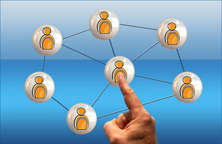 九游体育网址-世界足球推广：南南合作助力新兴市场崛起，南亚足球强国