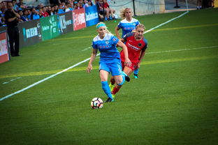 九游体育平台官网-中国篮球职业联赛俱乐部财务风险管理，篮球俱乐部财务制度