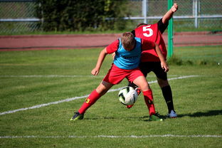 九游在线玩-体育赛事志愿者管理及培训体系建设，体育赛事志愿者的工作要求