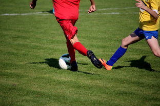 九游下载电脑版官网-仰泳大战美队领先毫厘之间，仰泳比赛视频欣赏